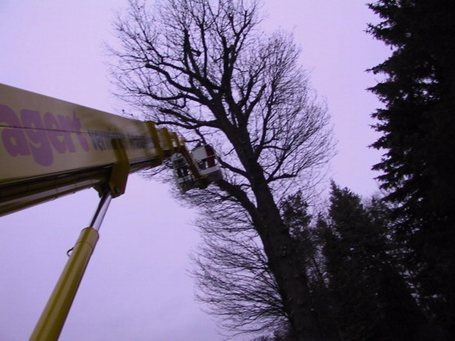 Uebersicht