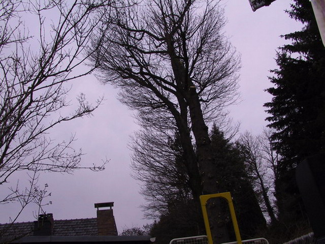 Uebersicht