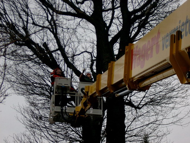 Uebersicht