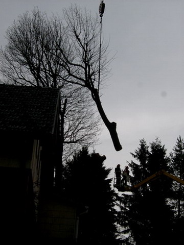 Uebersicht