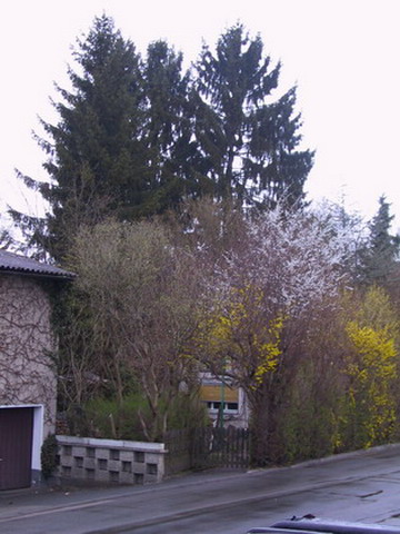 Uebersicht