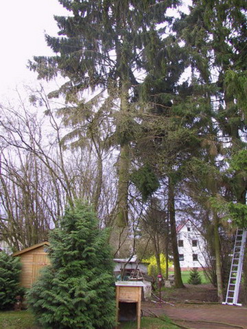 Uebersicht