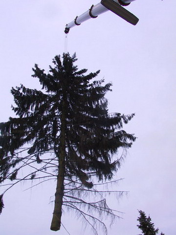 Uebersicht