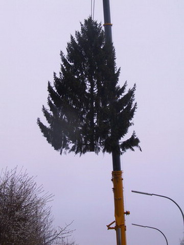 Uebersicht