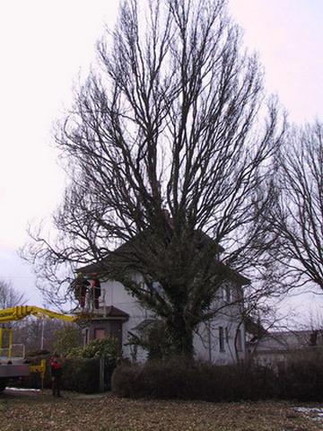 Uebersicht